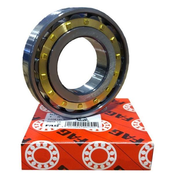 FAG NU2226-E-M1 Cylindrical roller bearing #1 image